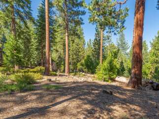 Nestled amongst towering pine trees, this property offers a serene and private forest setting.