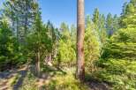Experience the tranquility of nature with this stunning forest view, perfect for those seeking a peaceful retreat.
