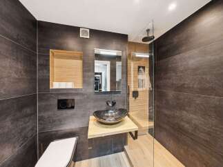 Experience modern luxury in this stunning bathroom featuring a sleek walk-in shower with a rainfall showerhead and elegant wood-paneled accents.