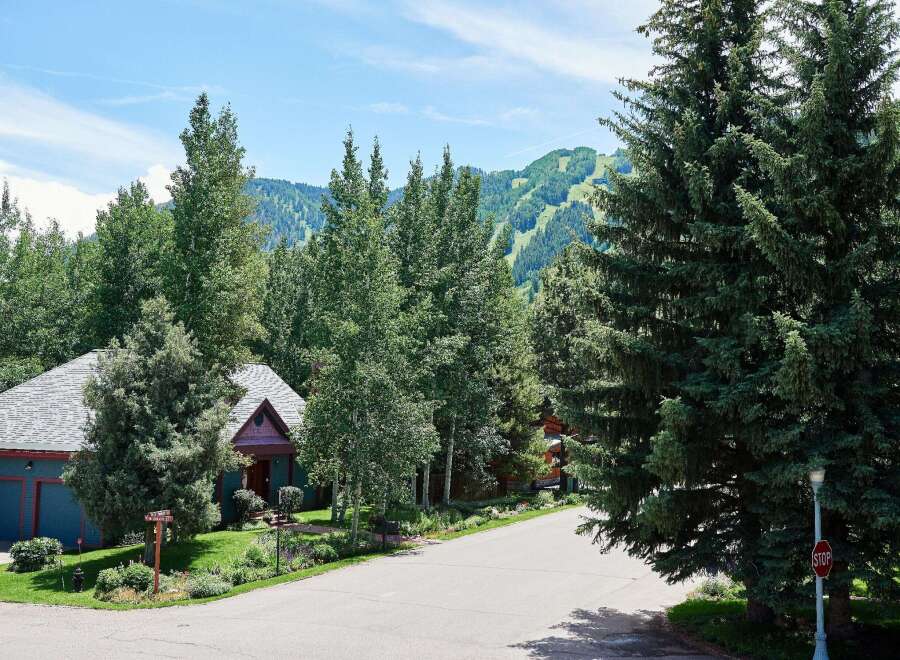 Nestled amidst lush greenery and mature trees, this charming home offers a serene mountain retreat.