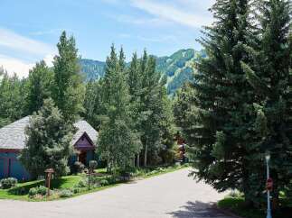 Nestled amidst lush greenery and mature trees, this charming home offers a serene mountain retreat.