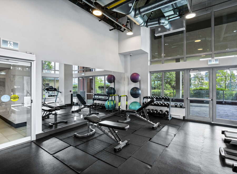 This modern gym features a variety of equipment, including treadmills, weight benches, and a comprehensive dumbbell rack.