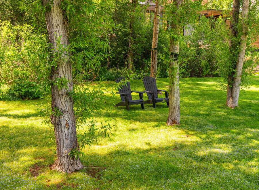 Enjoy the serene beauty of this lush green backyard, perfect for relaxation and outdoor living.