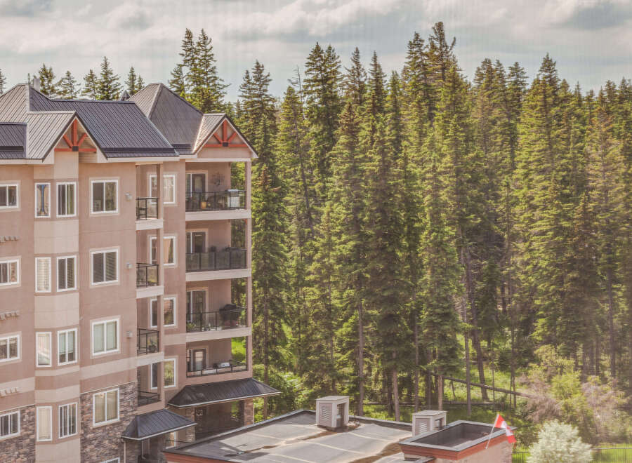 Experience modern living nestled amidst a serene forest backdrop.