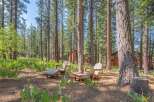 Escape to this serene forest retreat, featuring charming Adirondack chairs nestled amongst tall pines and lush greenery.