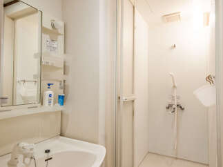 This compact bathroom features a clean white sink with a modern faucet, complemented by a large mirror and convenient shelving for toiletries.
