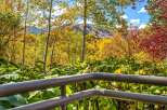 Experience the breathtaking beauty of autumn from your own private balcony.