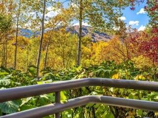 Experience the breathtaking beauty of autumn from your own private balcony.