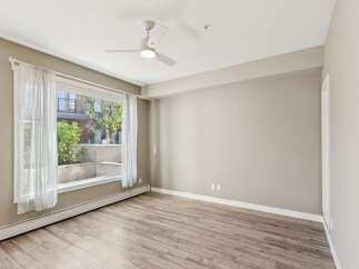 Bright and airy living space featuring a large window with sheer curtains, allowing natural light to flood the room.