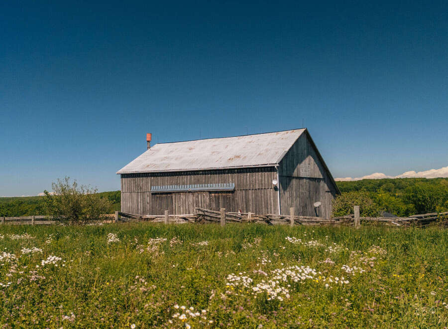 Discover rustic charm with this classic wooden barn, set against a backdrop of rolling green hills and a clear blue sky.