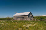 Discover rustic charm with this classic wooden barn, set against a backdrop of rolling green hills and a clear blue sky.