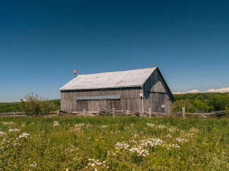 Discover rustic charm with this classic wooden barn, set against a backdrop of rolling green hills and a clear blue sky.