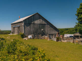 Discover this charming rural property featuring a classic wooden barn with 'TRIVUE RIDGE' signage, set against a backdrop of lush green hills and a clear blue sky.