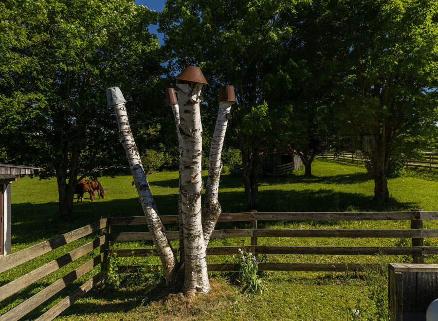 Experience serene country living with this charming property featuring lush green pastures and mature trees.