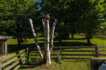 Experience serene country living with this charming property featuring lush green pastures and mature trees.