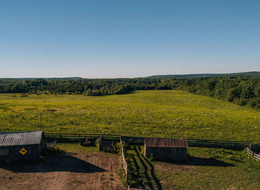 Discover this picturesque rural property featuring a charming barn with a distinctive cow sign, perfect for agricultural pursuits or a hobby farm.