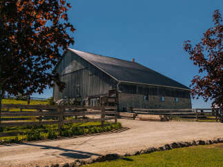 Discover this charming barn property, perfect for agricultural ventures or a unique event venue.