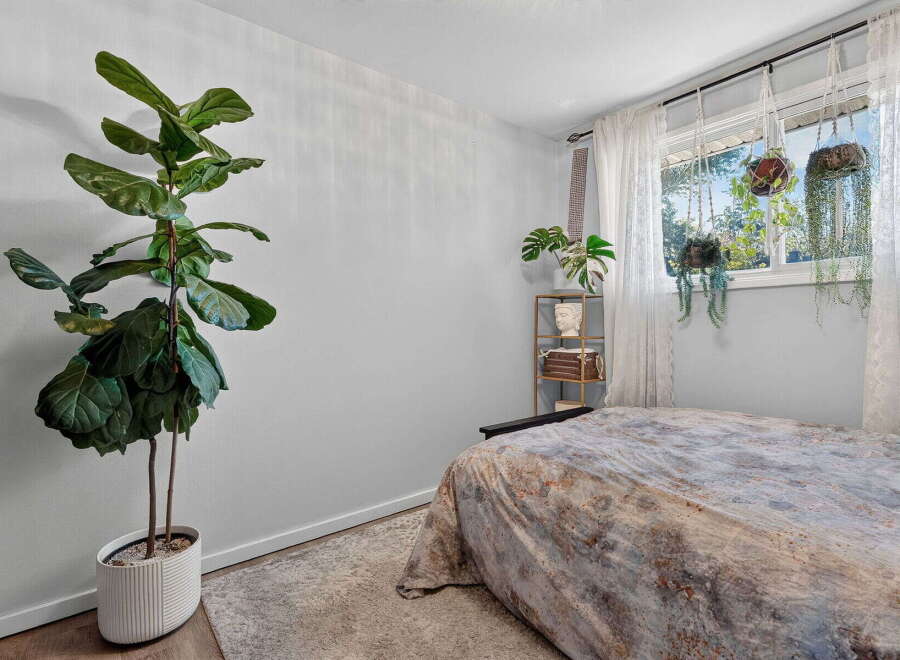 Brighten your space with this serene bedroom, featuring a large fiddle leaf fig plant and a collection of hanging plants by the window.