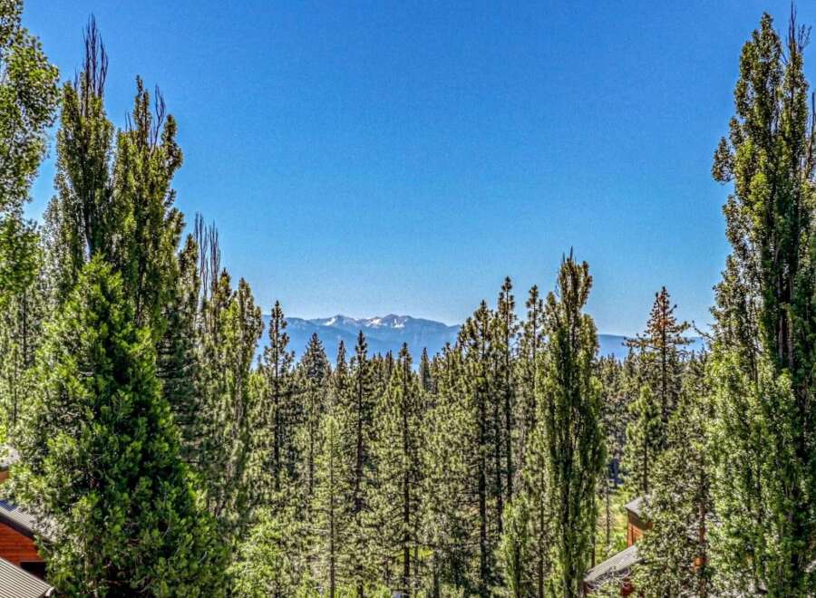 Experience breathtaking mountain views from this stunning property, nestled amidst a lush forest of towering pine trees.