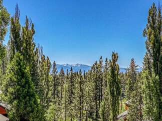 Experience breathtaking mountain views from this stunning property, nestled amidst a lush forest of towering pine trees.