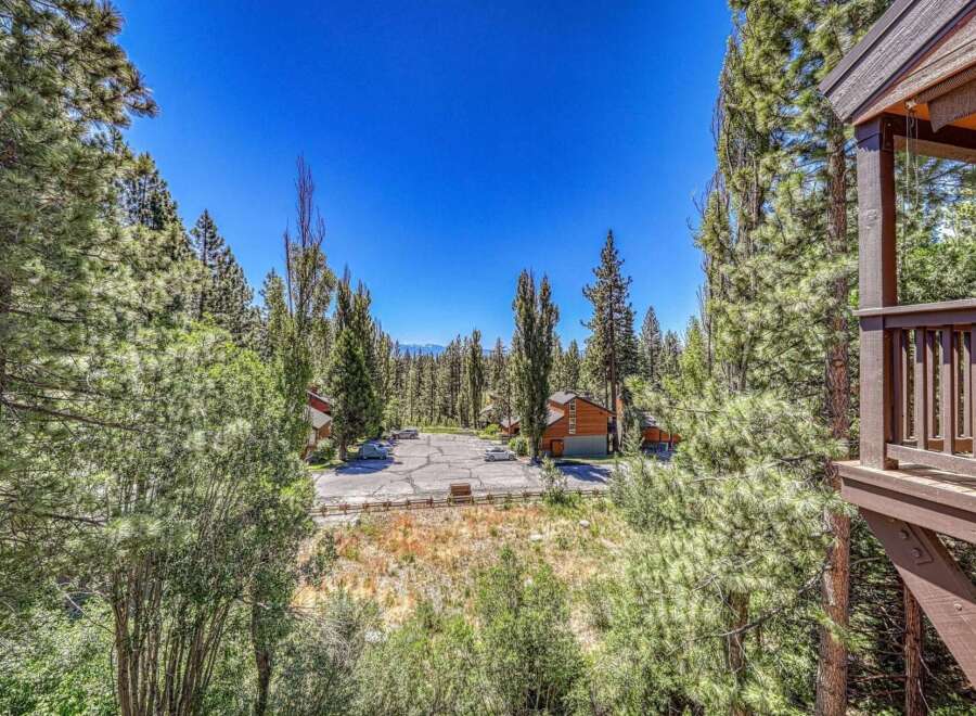 Nestled amidst a lush pine forest, this property offers a serene mountain retreat.
