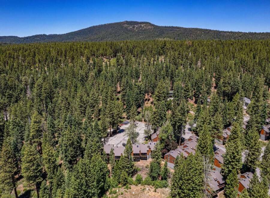 Nestled amidst a dense forest of towering pine trees, this aerial view showcases a cluster of modern townhomes.