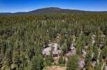 Nestled amidst a dense forest of towering pine trees, this aerial view showcases a cluster of modern townhomes.