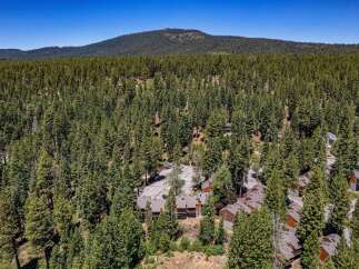 Nestled amidst a dense forest of towering pine trees, this aerial view showcases a cluster of modern townhomes.