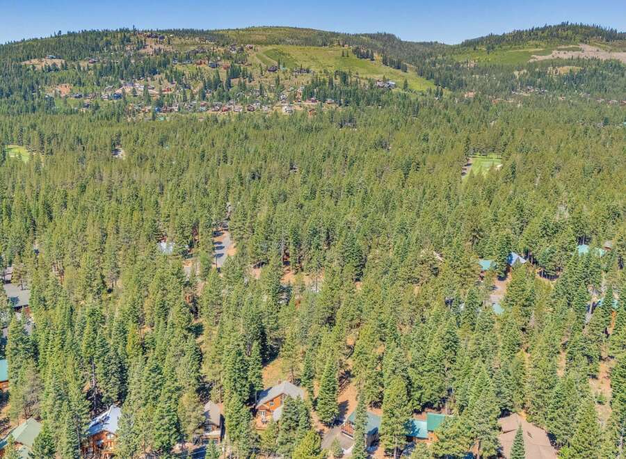 Nestled amidst a dense forest of towering pine trees, this property offers a secluded mountain retreat.