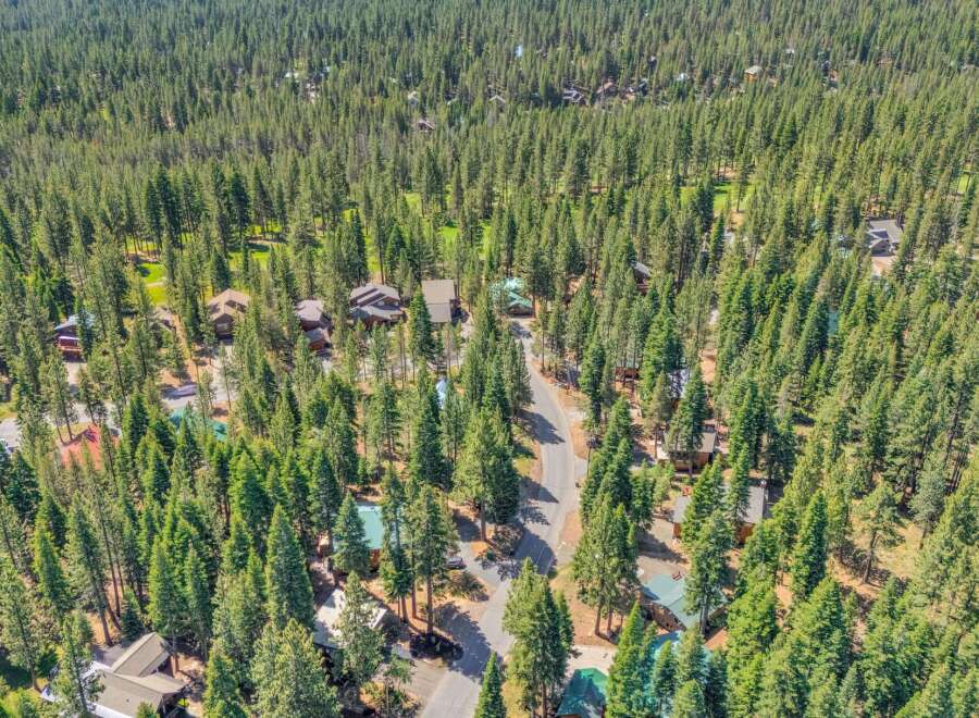 Nestled within a dense forest, this aerial view showcases a charming neighborhood with multiple homes scattered amongst tall pine trees.