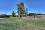 Enjoy the expansive backyard with a mature tree providing shade and a rustic wooden fence enclosing the property.