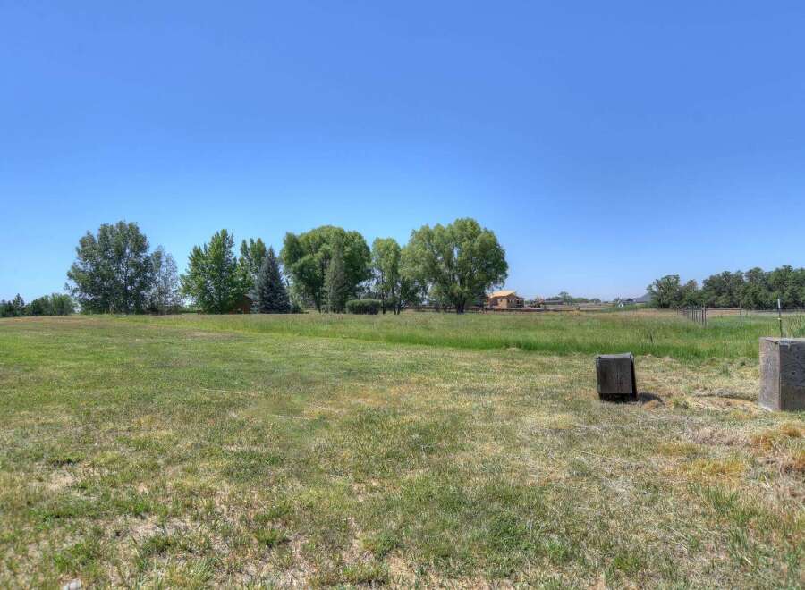 Discover this expansive open field, perfect for a variety of uses, offering a serene rural atmosphere.