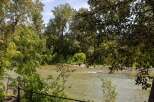 Enjoy the serene beauty of this riverside property, offering a tranquil escape surrounded by lush greenery.