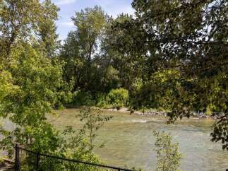 Enjoy the serene beauty of this riverside property, offering a tranquil escape surrounded by lush greenery.