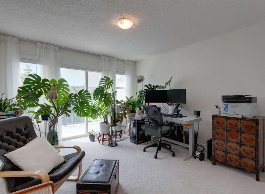 Bright and airy living space featuring a comfortable leather armchair and an abundance of lush green plants.