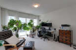 Bright and airy living space featuring a comfortable leather armchair and an abundance of lush green plants.