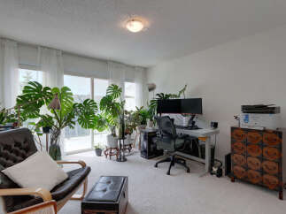 Bright and airy living space featuring a comfortable leather armchair and an abundance of lush green plants.