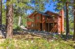 Nestled among tall pine trees, this stunning wooden home offers a serene mountain retreat.