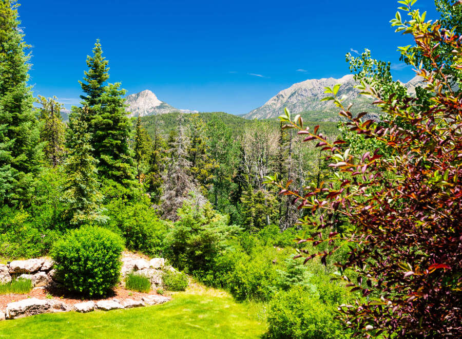 Experience breathtaking mountain views from this stunning property, surrounded by lush evergreen trees and vibrant foliage.