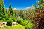 Experience breathtaking mountain views from this stunning property, surrounded by lush evergreen trees and vibrant foliage.