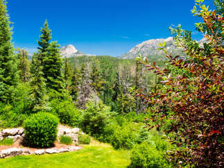 Experience breathtaking mountain views from this stunning property, surrounded by lush evergreen trees and vibrant foliage.