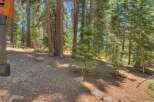 Nestled within a serene forest setting, this property offers a tranquil escape with its natural landscaping and mature trees.