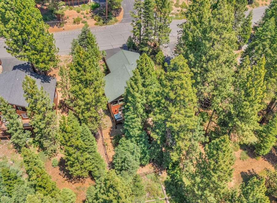 Nestled amidst towering pine trees, this charming cabin offers a serene mountain retreat.