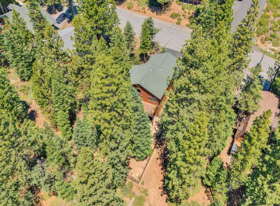 Nestled amidst towering pine trees, this charming cabin offers a serene mountain retreat.