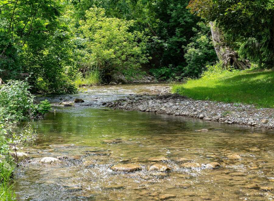 Discover serene living with this charming property, featuring a picturesque stream flowing through lush greenery.