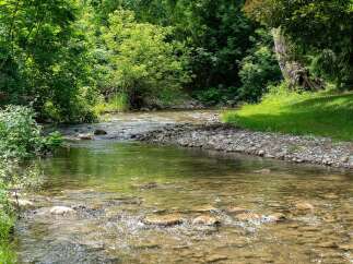 Discover serene living with this charming property, featuring a picturesque stream flowing through lush greenery.