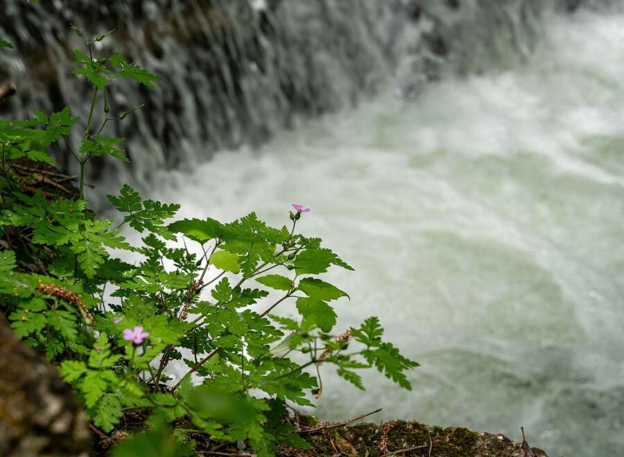 Experience serene living with this property's stunning natural surroundings.