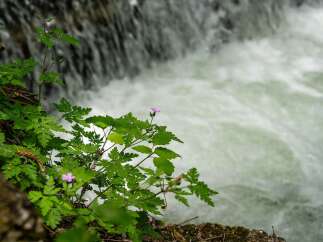 Experience serene living with this property's stunning natural surroundings.