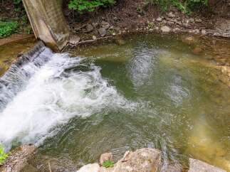 Discover a serene natural setting with this property, featuring a charming waterfall cascading into a clear, inviting pool.