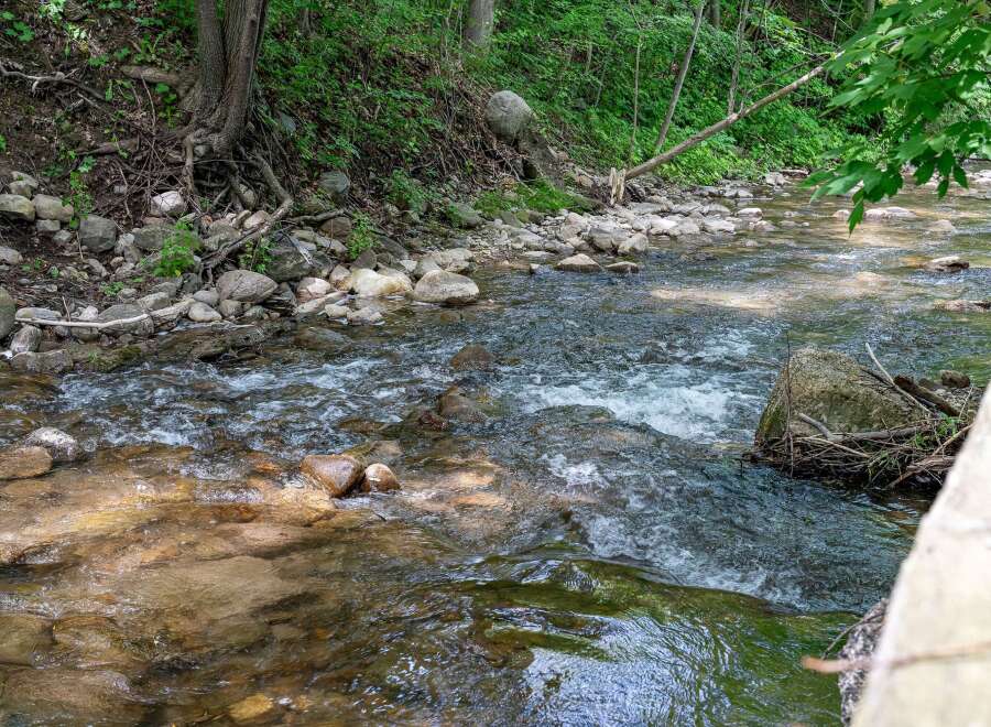 Discover tranquility in this serene natural setting, featuring a babbling brook flowing through a lush, wooded landscape.